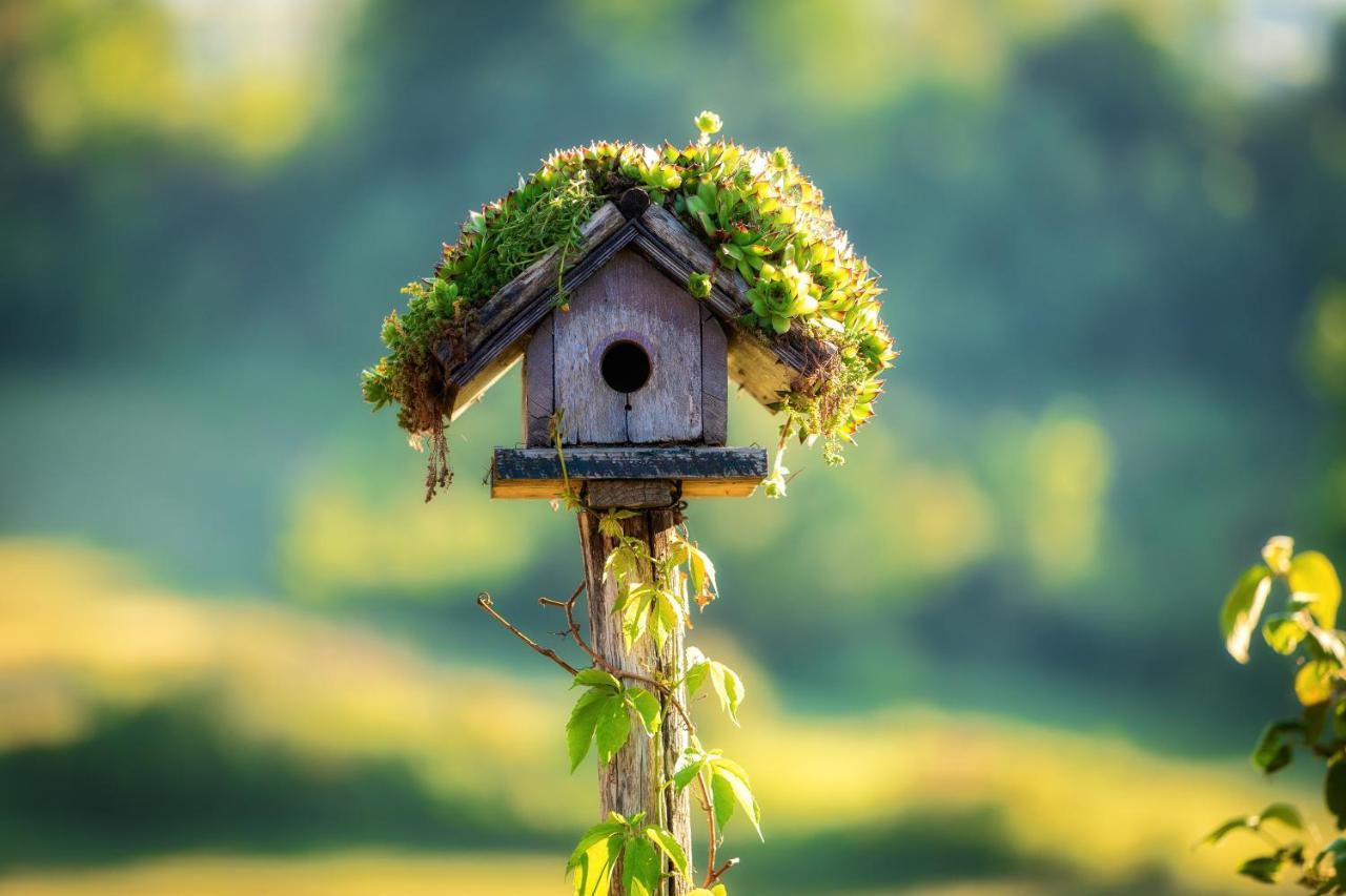 Farmstay Kotic Slunj Buitenkant foto